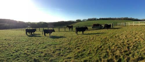 Agroturismo Yellowham Farm