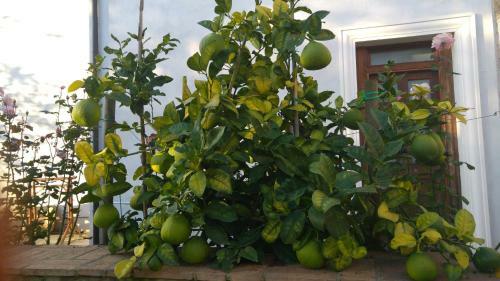 Agroturismo Borgo Patierno
