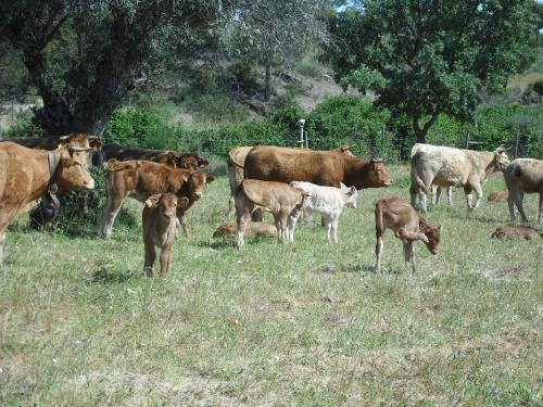 Agroturismo Quinta Da Alma Cheia