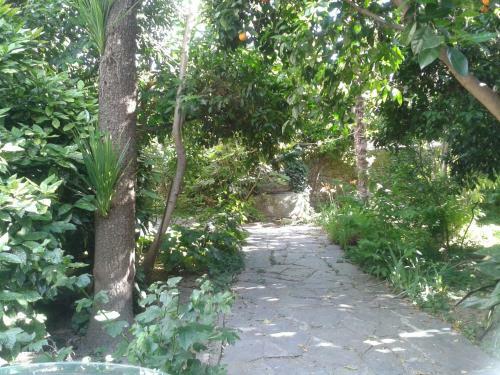 Agroturismo Casa Rural Corvina