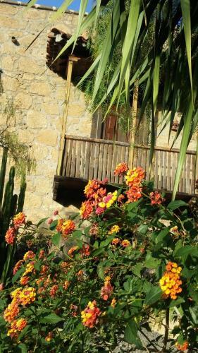 Agroturismo Casa Rural La Venta