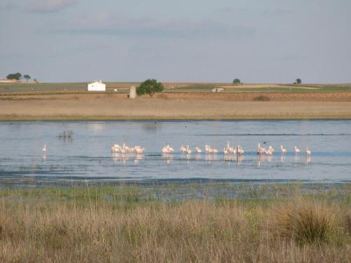 Agroturismo Casa De La Torre