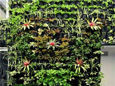 Aparthotel Hotel Dc Feria