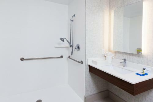 Holiday Inn Express Hotel & Suites Dothan North