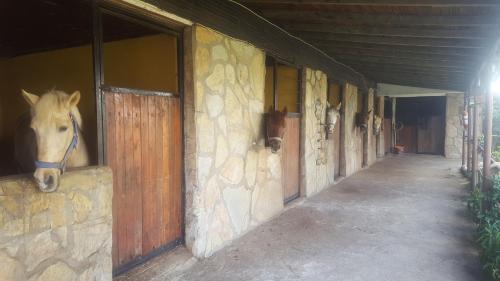 Oranj Ranch Hotel