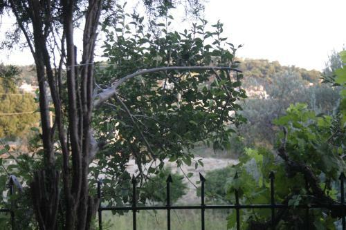 Hotel Yorgo Seferis Residence