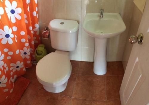 Lodge Hostal Y Caba�as Monte De Sion