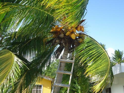Posada Sunshine Paradise