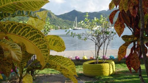 Posada Sunshine Paradise