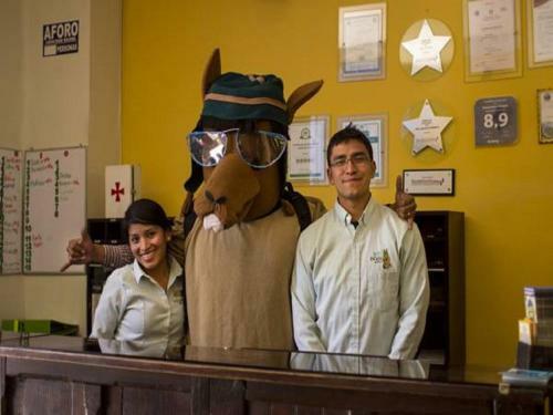 Ecopackers Hostels