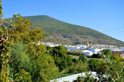 Agroturismo Ecoalbergue Rural De Algodonales