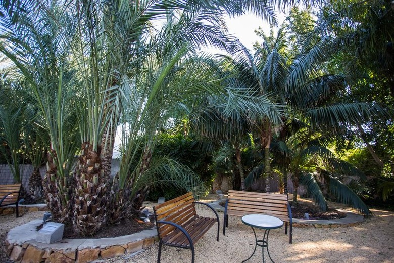 Apartamento Palmeral De Madaria