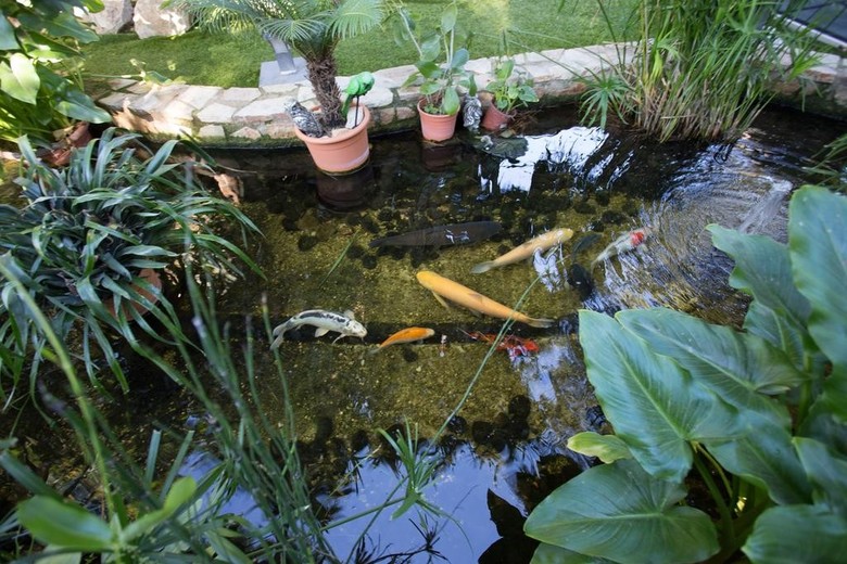 Apartamento Palmeral De Madaria