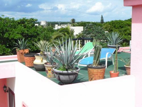 Aparthotel Casa Gatos