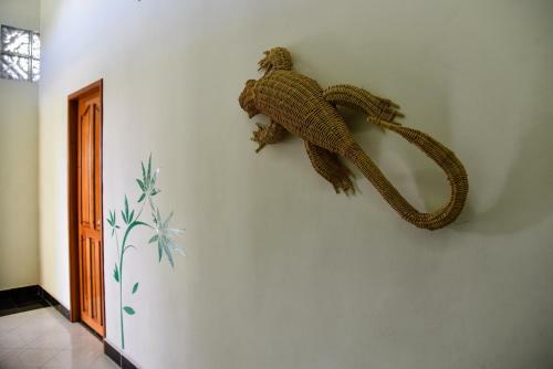 Albergue Hotel Akumal