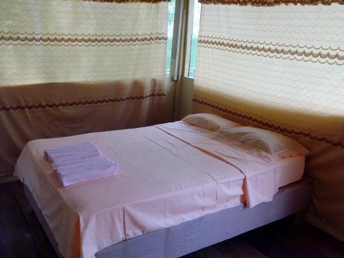 Jungle Explorer Lodge