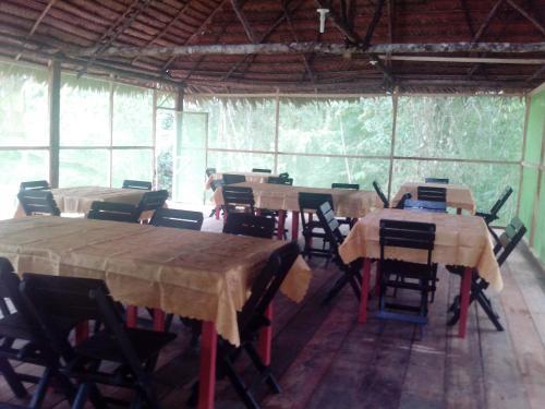 Jungle Explorer Lodge