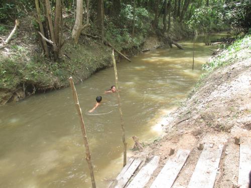 Jungle Explorer Lodge