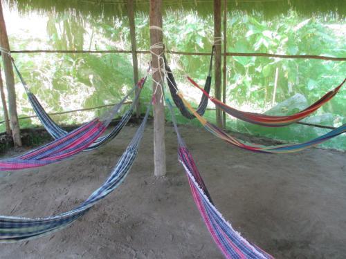 Jungle Explorer Lodge