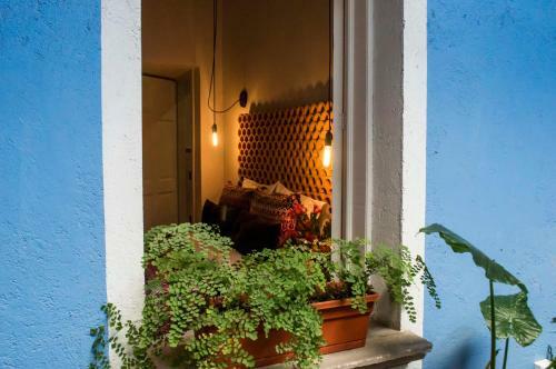Bed & Breakfast Entre Barrios Hospederia