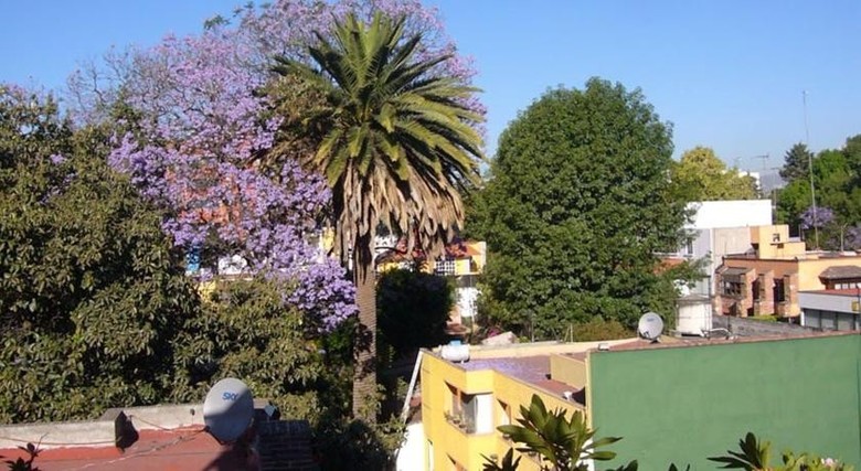 Hostal Chalet Del Carmen, Coyoac�n
