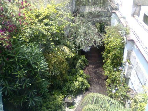 Bed & Breakfast Hospedaje El Zagu�n