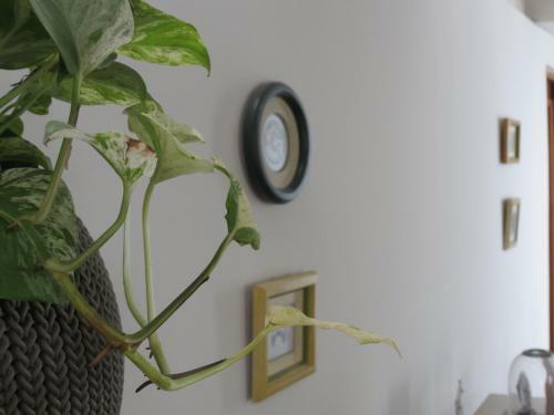 Hostal Miraflores Inn