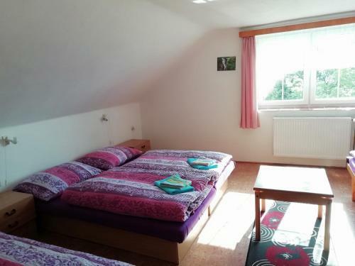 Hostal Penzion Pochop