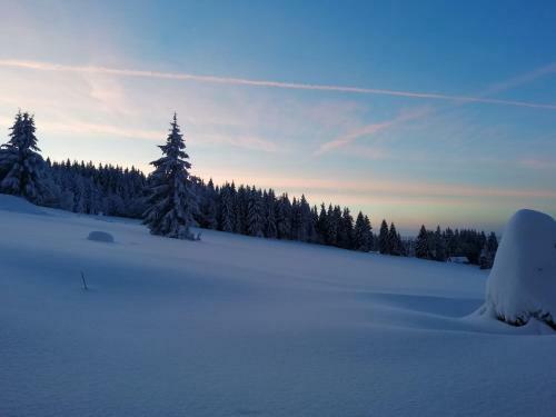 Hostal Penzion Pochop