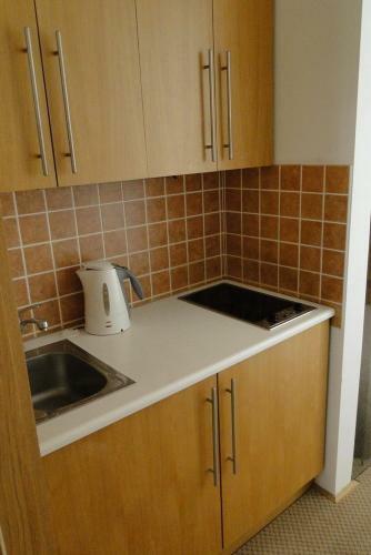 Apartman Brno Stred