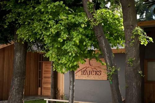Raices Bed And Breakfast