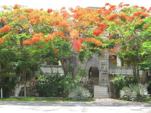 Apartamento Condumel