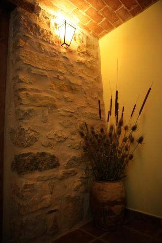 Agroturismo Balc�n De Ares