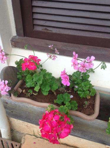 Hostal Pousada Komkaf� - Zimmer Frei