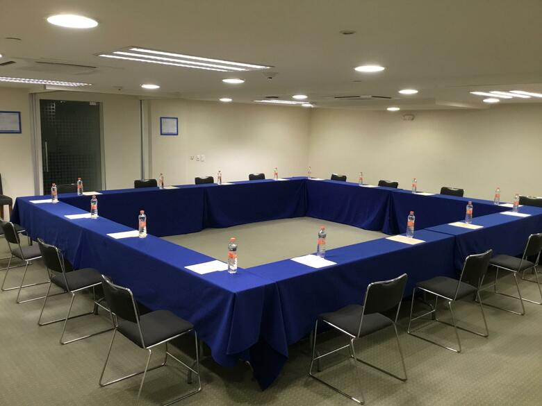 Hotel Holiday Inn Express Guadalajara Expo