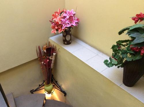 Posada Casa De Hu�spedes La Rosa