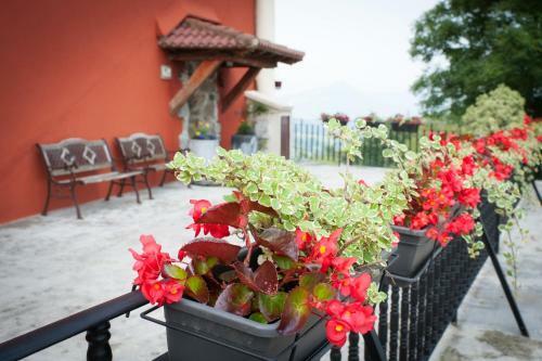 Agroturismo Casa Rural Artola