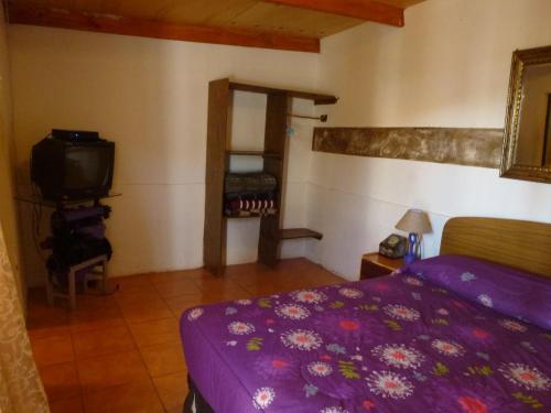 Hostal Hostel El Toconar