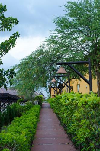 Winterville Gravata Chal�s Resort