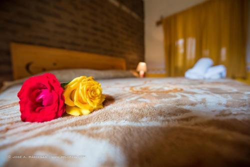 Hostal Hotel Casa Poma Rosa