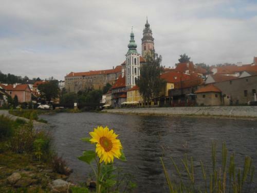 Hostal Penzion Podhrad�