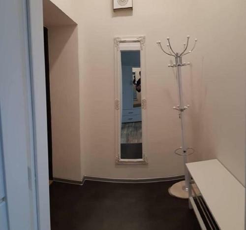 Apartment Kr�le Ji?�ho