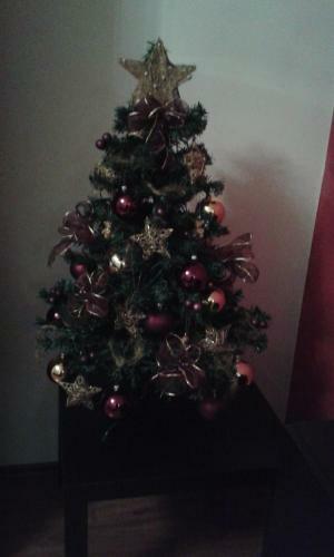 Apartm�n Drahovice