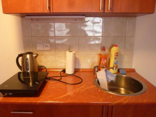 Apartment Karlovy Vary