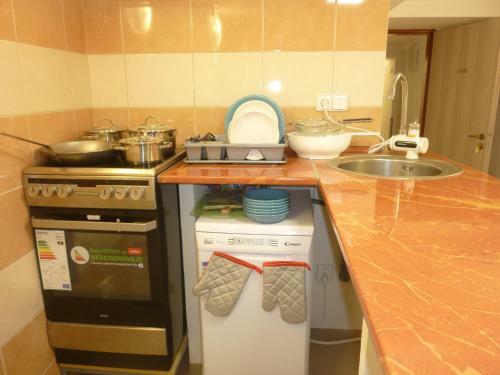 Apartment Karlovy Vary