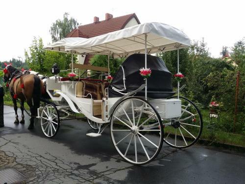 Apartment Karlovy Vary