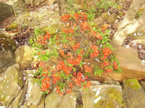 Hostal Pension U Kaktusu