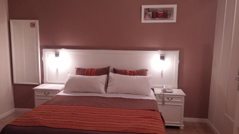 Hotel San Mart�n