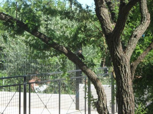 Apartamento Caba�as Luna Del Sur