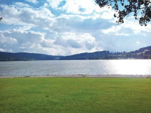 Holiday Home Lipno Nad Vltavou 31